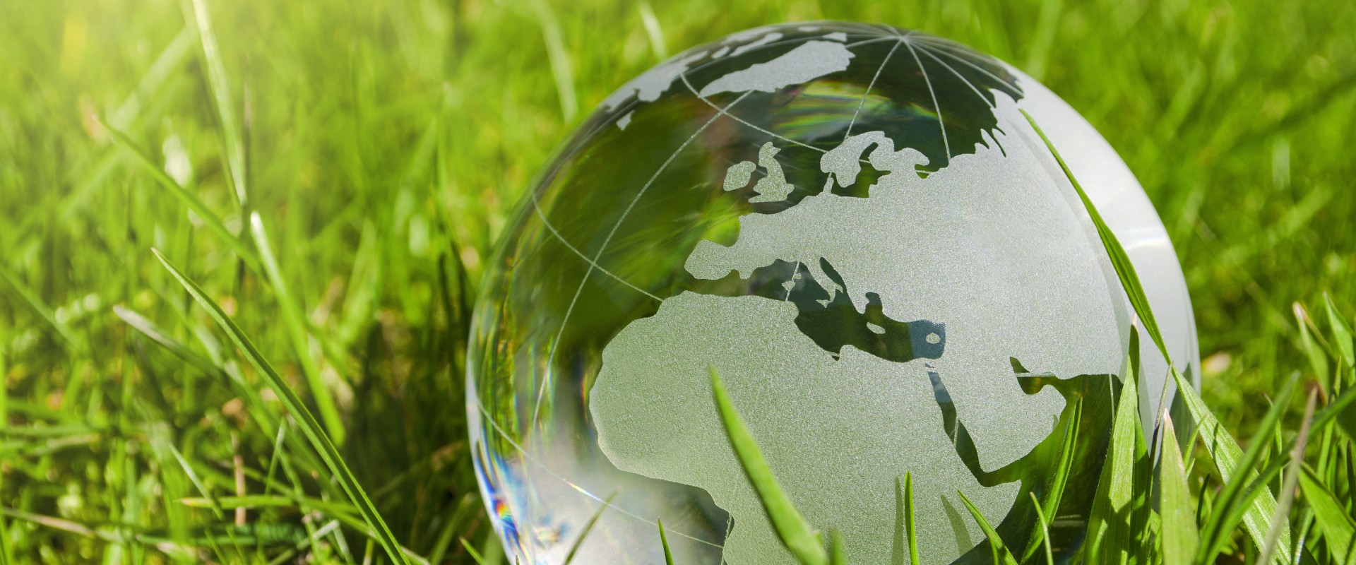 Glass globe in juicy grass